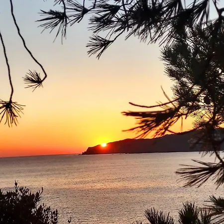 De La Corniche * Banyuls-sur-Mer